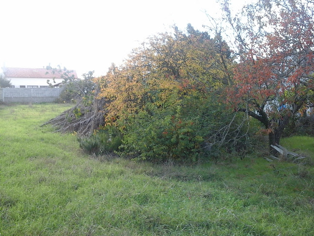 R. da Madalena 35, 2070-365 Pontével, Portugal