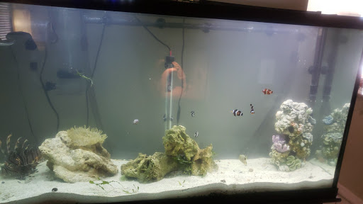 Tropical Fish Store «Aquatic Vision», reviews and photos, 6028 Pine Hill Rd, Port Richey, FL 34668, USA