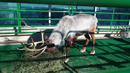 Supermarket «Hy-Vee», reviews and photos, 10808 Fort St, Omaha, NE 68164, USA