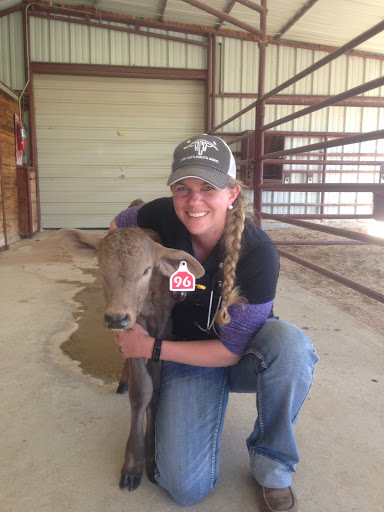 Broken L Veterinary Services, PLLC image