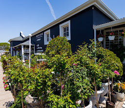 Bridge House Lifestyle photo