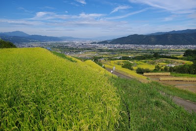 姨捨の棚田
