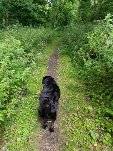 Nature Preserve «Sweedler and Thayer Preserves», reviews and photos, 10 Townline Rd, Ithaca, NY 14850, USA