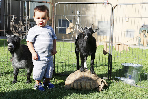 Preschool «Kiddie Academy of Fontana», reviews and photos, 11117 Sierra Ave, Fontana, CA 92337, USA