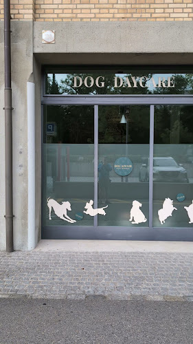 DOG AFFAIR GmbH - Zürich