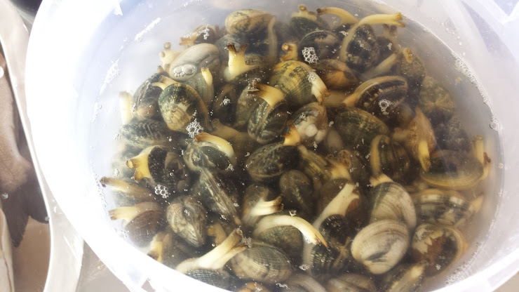 Plats et boissons Hébergement d'intérieur Residence Valle Clavia 71010 Peschici