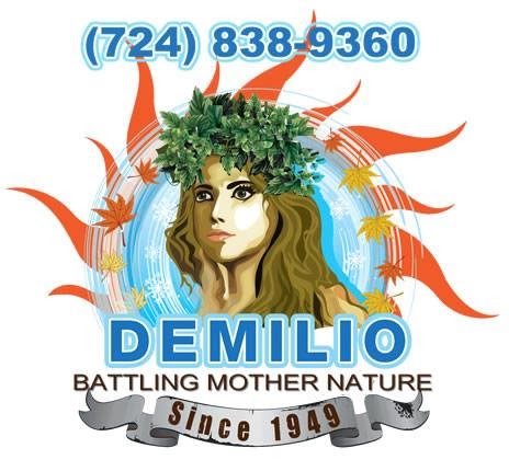 Demilio, Inc. in Greensburg, Pennsylvania
