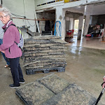 Photo n° 12 de l'avis de Cecile.o fait le 17/09/2022 à 11:48 pour Les Huîtres du Père Gus - Bar à huîtres chez l'ostréiculteur à Blainville-sur-Mer