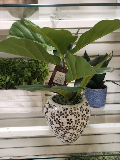 Department Store «HomeGoods», reviews and photos, 344 W Army Trail Rd, Bloomingdale, IL 60108, USA