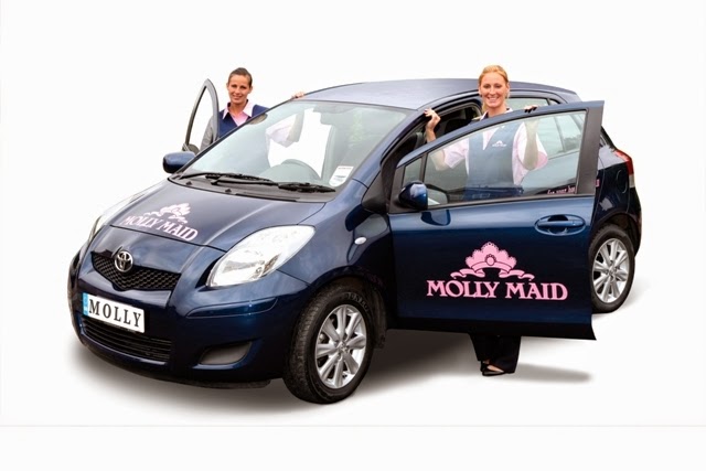 MOLLY MAID - House cleaning service