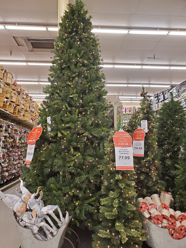 Craft Store «Hobby Lobby», reviews and photos, 130 Sundance Pkwy #200, Round Rock, TX 78681, USA