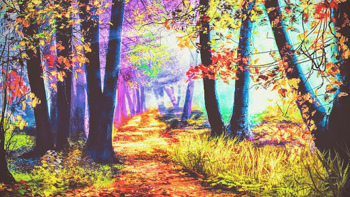 Discount Store «Kmart», reviews and photos, 1 Flower Valley Shopping Center, Florissant, MO 63033, USA