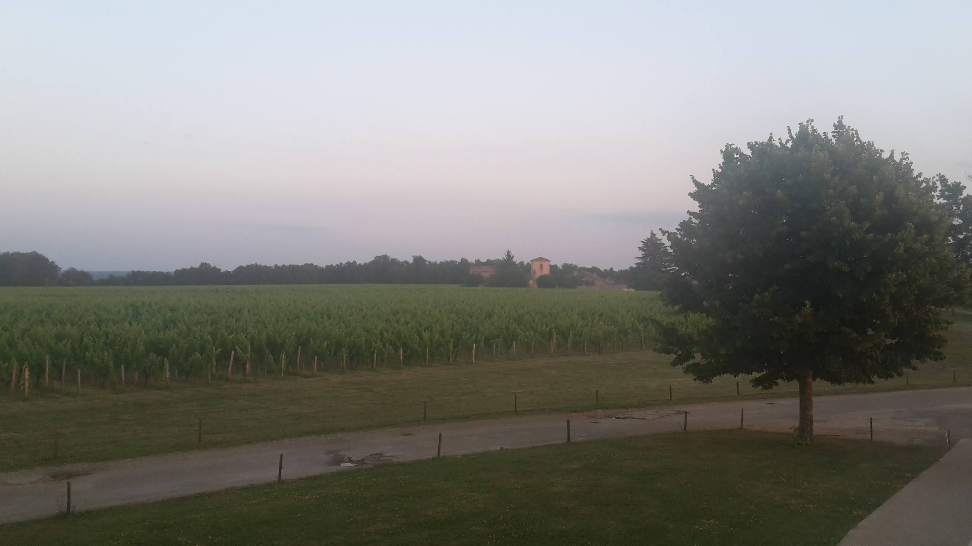 Photo n° 1 de l'avis de Carlos.o fait le 14/06/2017 à 12:46