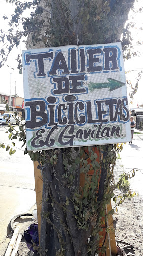 Comentarios y opiniones de Taller de bicicleta "El Gavilán"