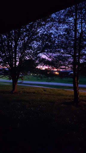 Law Firm «Woods and Woods, LLP», reviews and photos