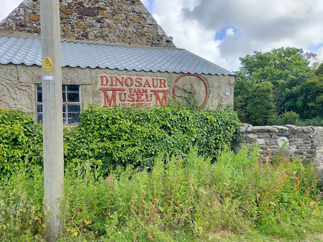 Dinosaur Expedition Centre - Newport