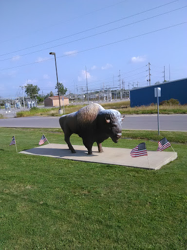 Baseball Club «Buffalo Bisons Baseball», reviews and photos, 275 Washington St, Buffalo, NY 14203, USA