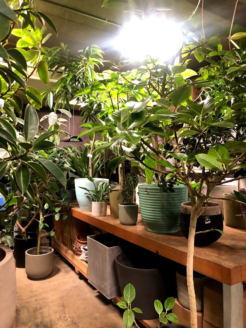 Buzz Green 東京都渋谷区恵比寿 店舗 グルコミ