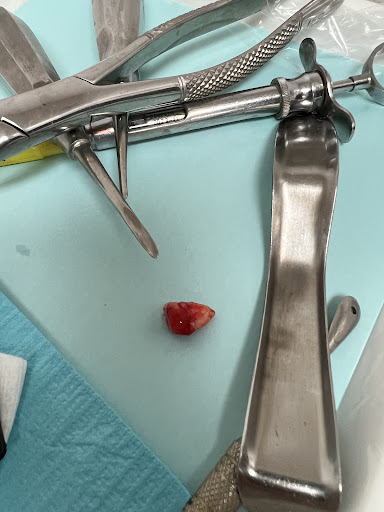 New Smile Dental image