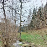 Photo n°4 de l'avis de Thomas.c fait le 05/04/2023 à 14:37 sur le  Schlüchtmühle à Grafenhausen