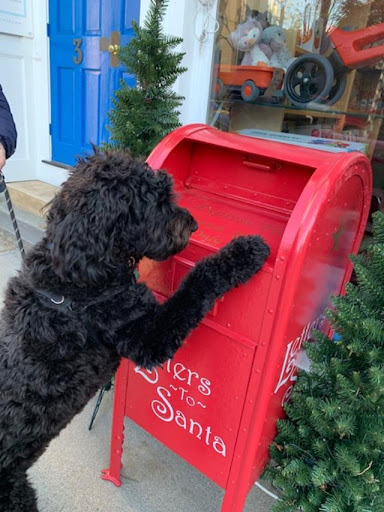 Toy Store «Mud Puddle Toys», reviews and photos, 1 Pleasant St, Marblehead, MA 01945, USA