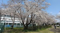 伏見港公園テニスコート
