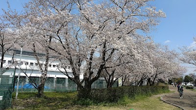 伏見港公園テニスコート