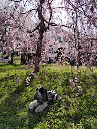 南丹市美山長谷運動広場