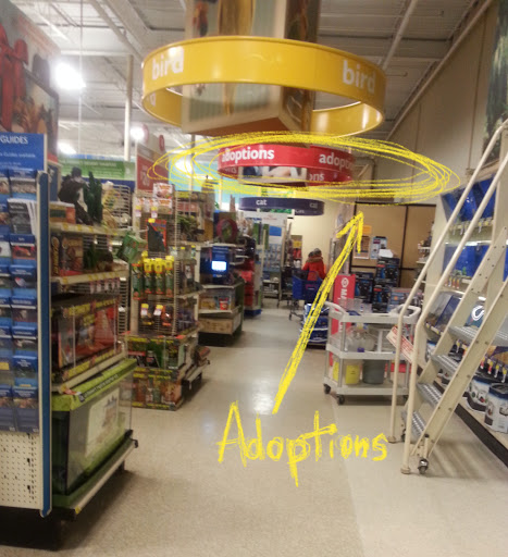 Pet Supply Store «PetSmart», reviews and photos, 160 Alewife Brook Pkwy, Cambridge, MA 02138, USA