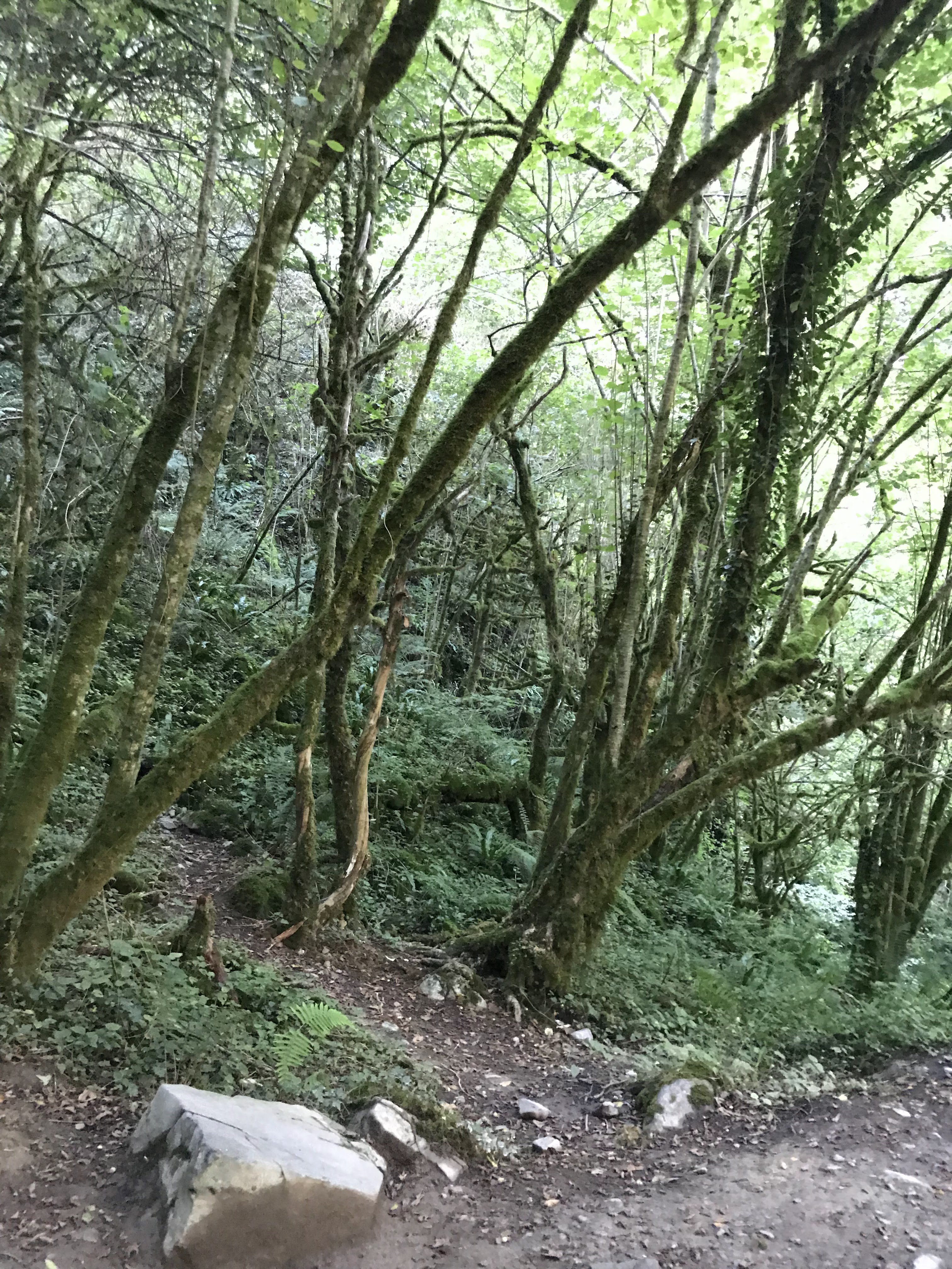 Photo n° 2 de l'avis de Elisa.a fait le 12/09/2019 à 13:09