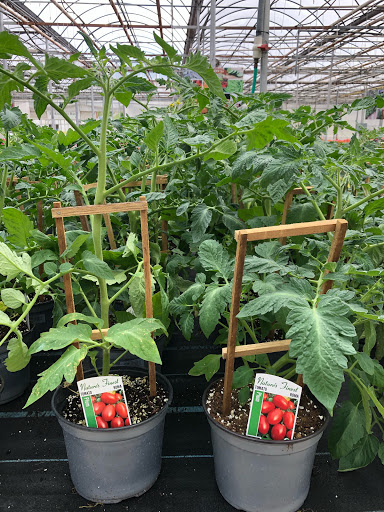 Garden Center «Gro-Rite Garden Center & Florist», reviews and photos, 30 Hillview Rd, Lincoln Park, NJ 07035, USA