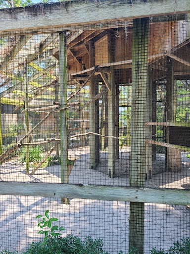 Zoo «Audubon Center for Birds of Prey», reviews and photos, 1101 Audubon Way, Maitland, FL 32751, USA