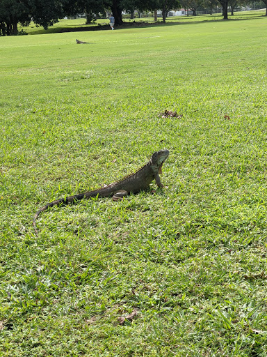 Public Golf Course «Greynolds Golf Course», reviews and photos, 17530 West Dixie Highway, North Miami Beach, FL 33160, USA