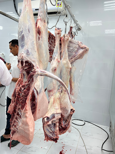 ملحمة حاشي ٤ 