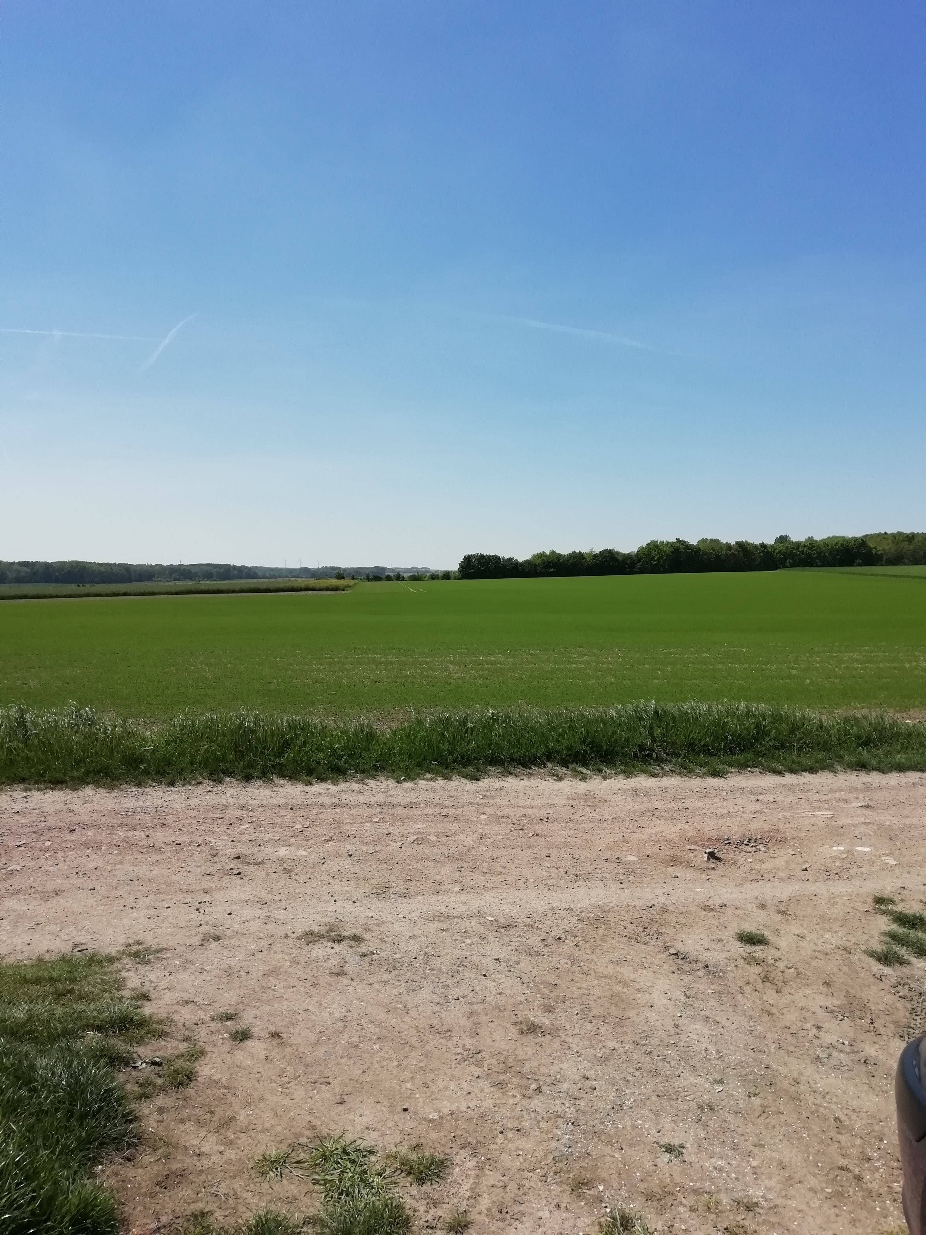 Photo n° 2 de l'avis de Alexis.9 fait le 13/05/2019 à 16:46