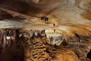 Rickwood Caverns State Park image