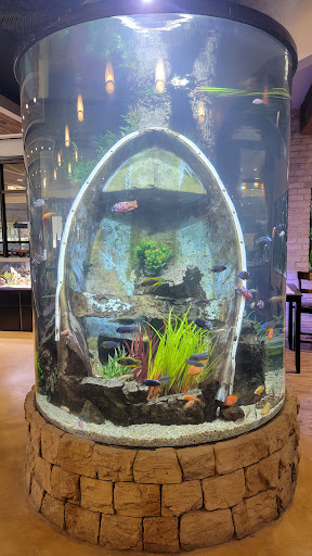 Pet Supply Store «Fish Gallery», reviews and photos, 26002 I-45, Spring, TX 77396, USA