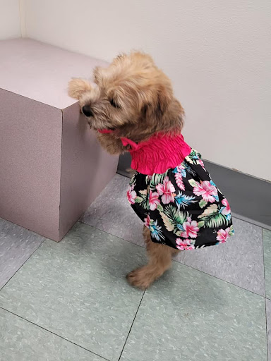 Pet Store «Friendly Pets», reviews and photos, 625 Friendly Center Rd, Greensboro, NC 27408, USA