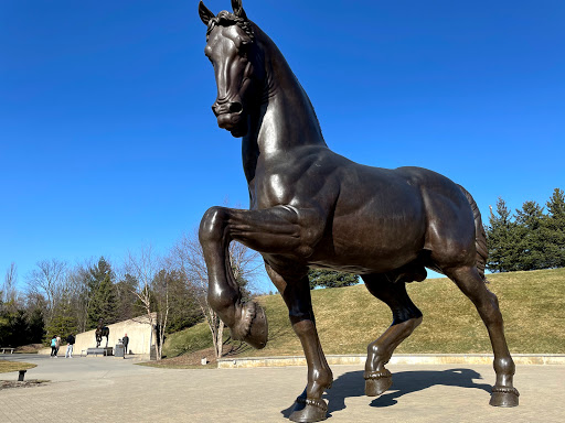 Botanical Garden «Frederik Meijer Gardens», reviews and photos, 1000 E Beltline Ave NE, Grand Rapids, MI 49525, USA