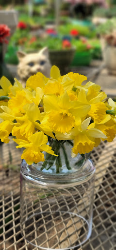 Florist «St. Clair Greenhouses & Florist», reviews and photos, 7043 Big Hand Rd, St Clair, MI 48079, USA