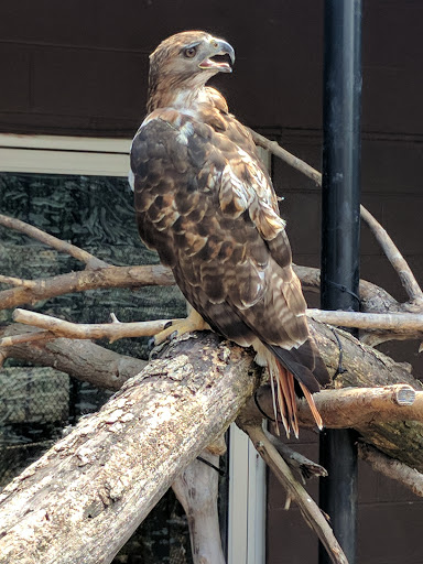 Zoo «Niabi Zoo», reviews and photos, 13010 Niabi Zoo Rd, Coal Valley, IL 61240, USA