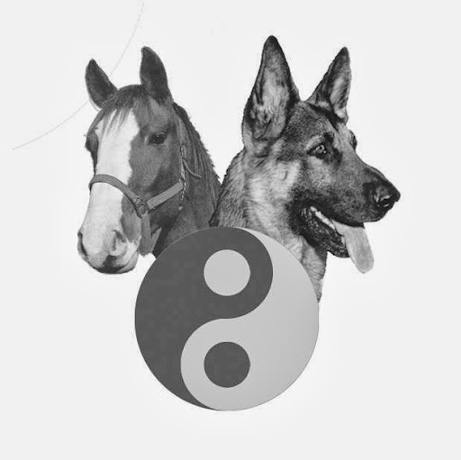 Tierarztpraxis für Physiotherapie und Akupunktur unter Pfaffenhofen an der Ilm, Bayern