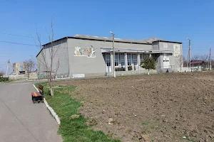 Muzeul Negureni image
