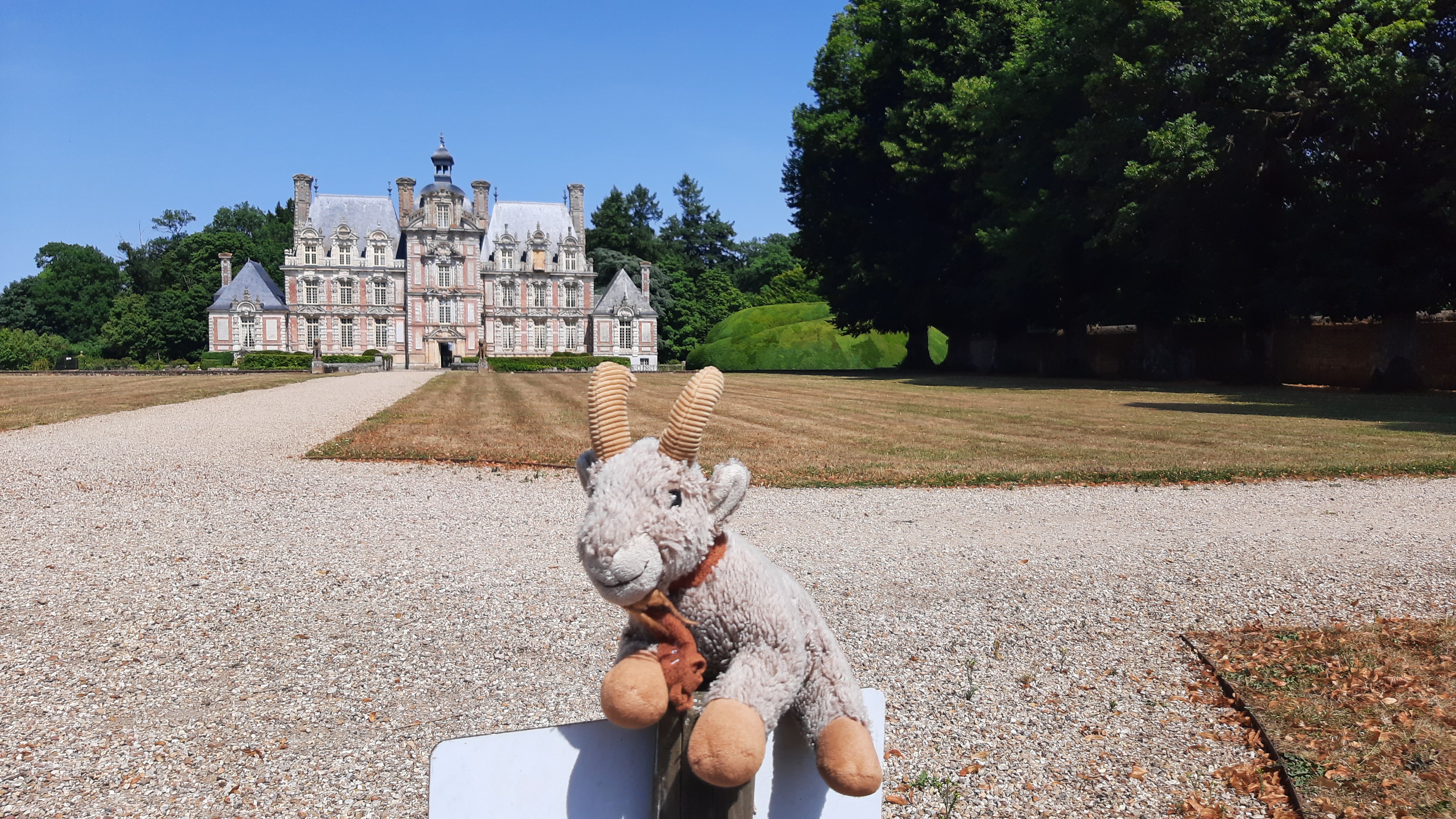 Photo n° 23 de l'avis de Armando.a fait le 18/07/2022 à 07:06