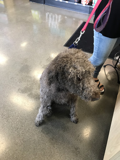 Pet Supply Store «Pet Evolution - Pet Food | Dog Wash | Grooming», reviews and photos, 429 Commerce Dr, Woodbury, MN 55125, USA