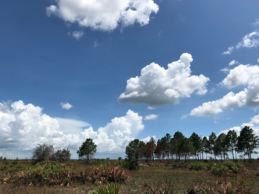 Nature Preserve «Duette Preserve», reviews and photos, 2649 Rawls Rd, Parrish, FL 34219, USA