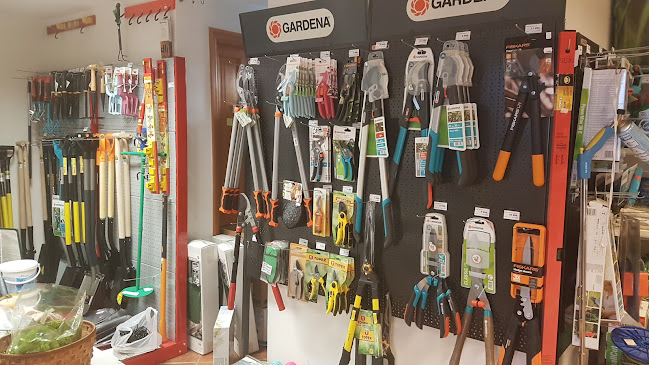 Comentarii opinii despre Latin Kert Kertészet és Webáruház