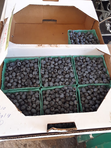 Grocery Store «Northern Borne Store and Grocery», reviews and photos, 1236 Main St, Long Lake, NY 12847, USA