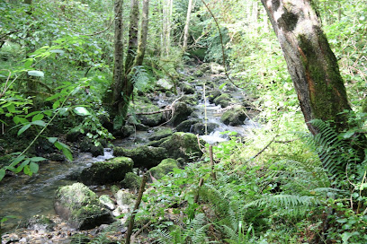 Zona de senderismo – Ruta de la Ribera del Ríu la Peña – Nava