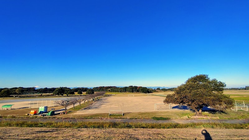 宝来運動公園サッカー場